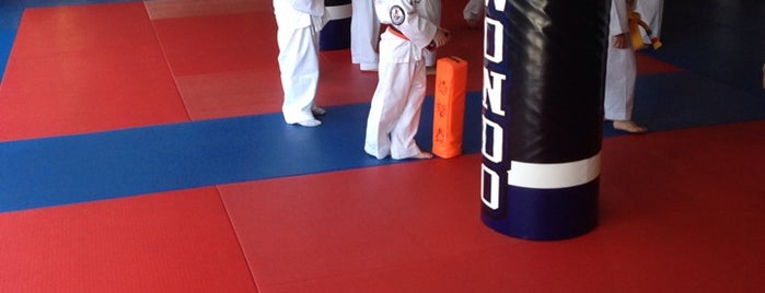 Navarrete's Black Belt Academy is one of Tempat yang Disukai Brian.