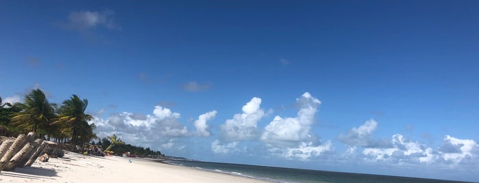 Enseada dos Golfinhos is one of Praias de Pernambuco.