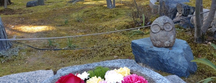 Shorin-ji is one of Visit.