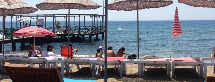 New Moon Beach Club is one of Burası.