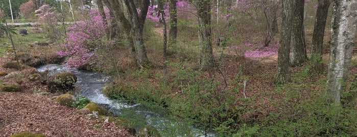 Yomeishu Healthy Forest is one of Orte, die Sigeki gefallen.