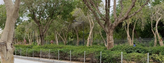 حديقة الوطن is one of Riyadh - Parks.