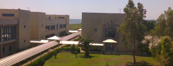 Türk Standardları Enstitüsü (TSE) Kalite Kampüsü is one of Orte, die 'Özlem gefallen.