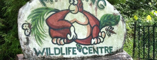 Matang Wildlife Centre is one of Borneo.