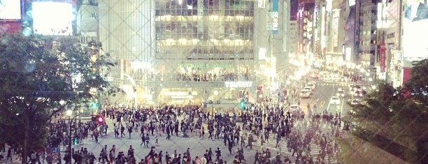 Shibuya is one of Japan Trip.