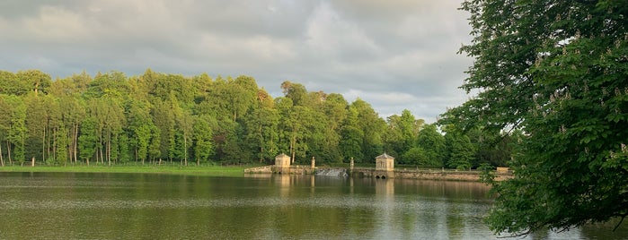 Studley Royal Deer Park is one of World Heritage Sites - North, East, Western Europe.