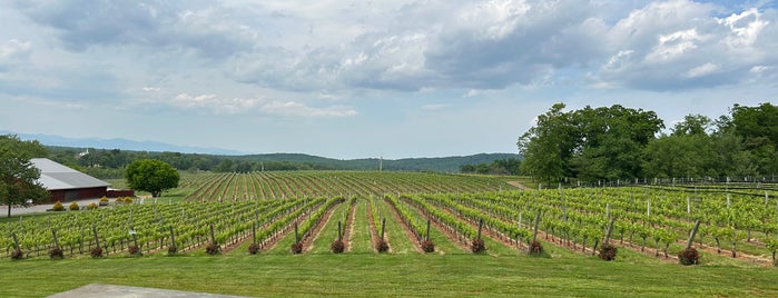 Barboursville Vineyards is one of The South's Best Inns.