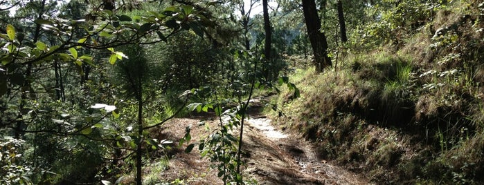 La Deportiva de Valle de Bravo is one of สถานที่ที่ Jose ถูกใจ.