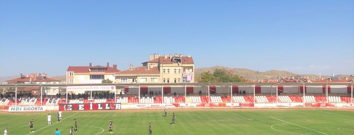 Gazi Stadyumu is one of Stadyumlar / Futbol Sahaları - Stadium.
