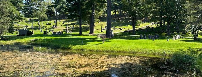 Mt. Hope Cemetery is one of Someday... (The Northeast).