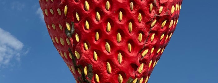 World's Largest Strawberry is one of Quirky Landmarks USA.
