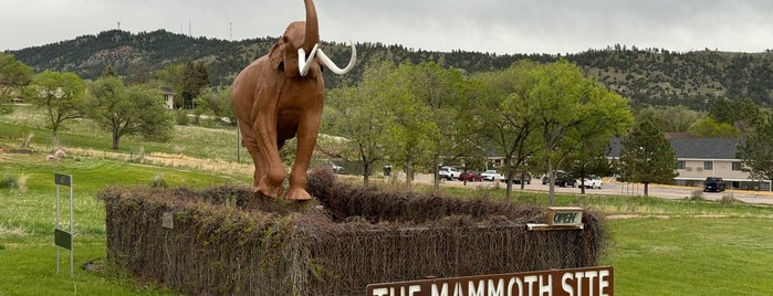 The Mammoth Site is one of Summer 2020 Roadtrip.