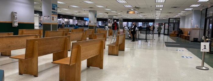 New York State DMV is one of Daily check-ins.