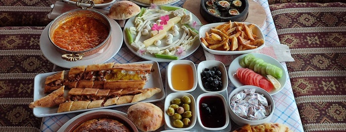 Sağlık Alabalık Çiftliği ve Restaurant is one of Karadeniz.