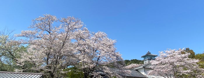 Shiga Prefecture Azuchi Castle Archeological Museum is one of 滋賀に行ったらココに行く！ Vol.2.