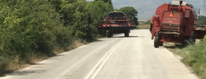 Rodolivos Serron is one of Locais curtidos por Vague🌳.