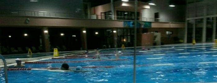 TSK Spor Okulu Ve Egitim Merkezi Komutanlığı Yüzme Havuzu is one of spor.