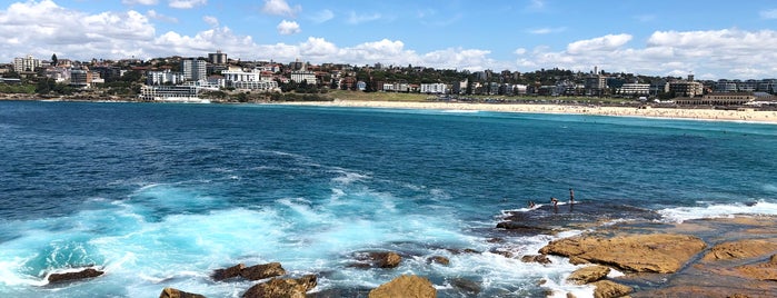 Ray O'Keefe Reserve is one of Sydney Favorites.