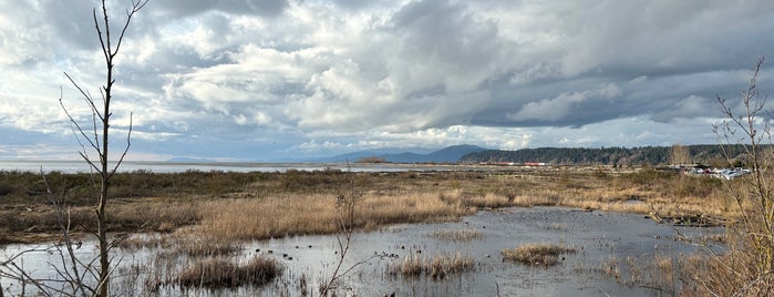 Iona Beach Regional Park is one of Things to do arround BC/Canada.