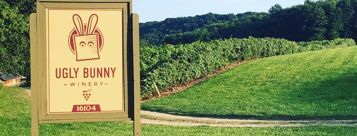 Ugly Bunny Winery is one of Ohio Wineries.