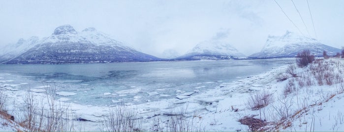 Ramfjordbotn is one of สถานที่ที่บันทึกไว้ของ MLTMSLMZ.