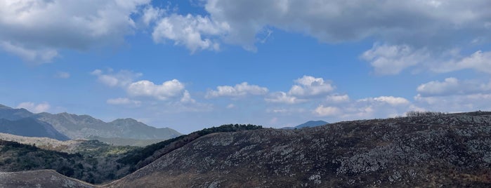 Akiyoshidai Plateau is one of 優れた風景・施設.