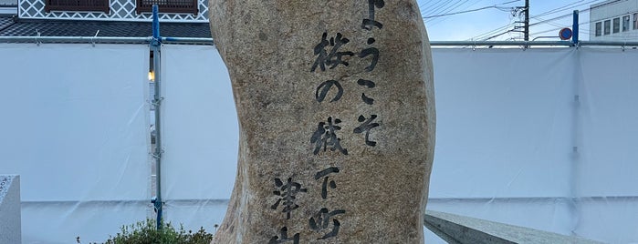 津山市 is one of 中四国の市区町村.