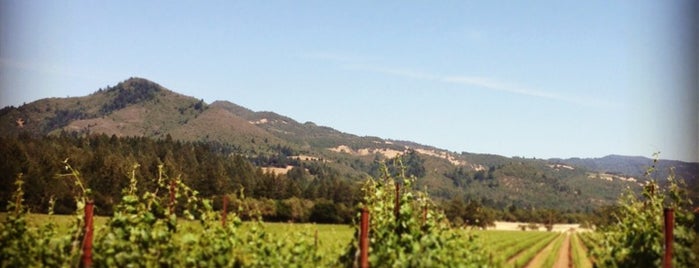 St. Francis Winery & Vineyards is one of california.