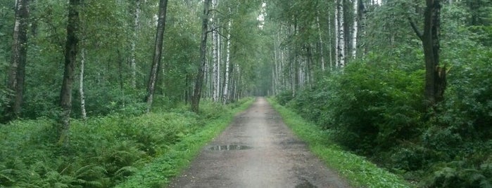 Удельный парк is one of Repeated.