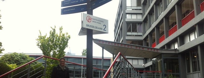Hotelschool Den Haag is one of สถานที่ที่ David ถูกใจ.