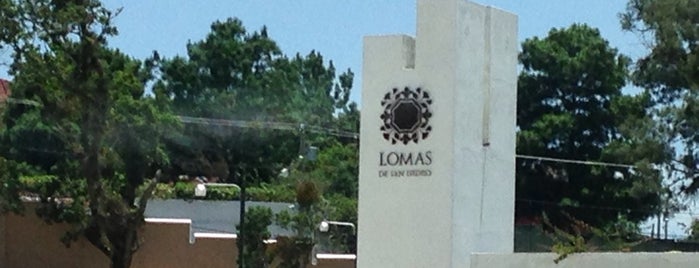 Lomas De San Isidro is one of สถานที่ที่ Rafael ถูกใจ.