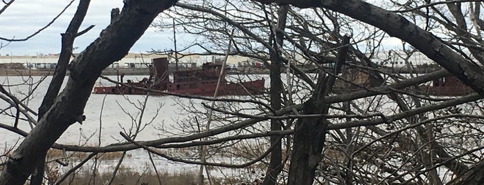 Staten Island Tugboat Graveyard is one of Quirky Things to do in NYC.