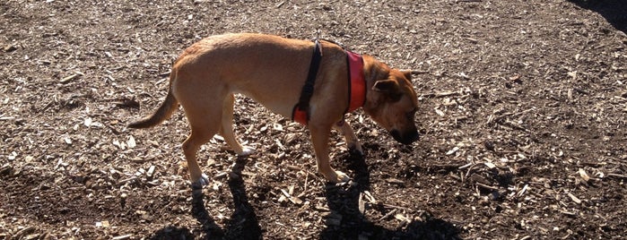 Cambria Dog Park is one of Vacation Places.