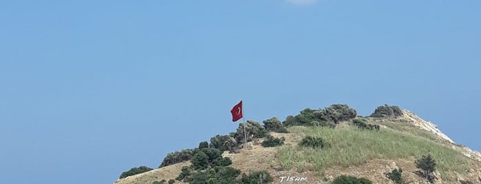 Tisan Yarımadası is one of Mersin.