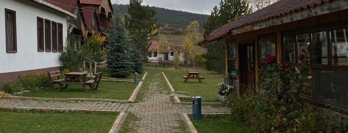 Daday Baris At Ciftligi is one of Karabük ve Çevresi.