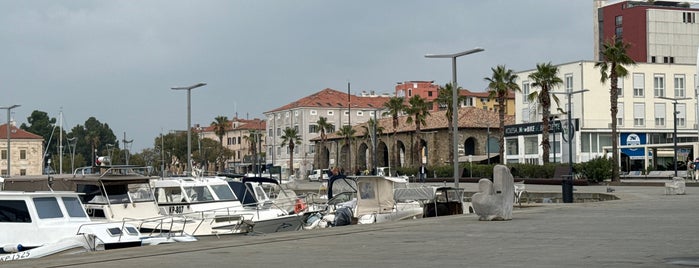 Capodistria is one of Landlord.