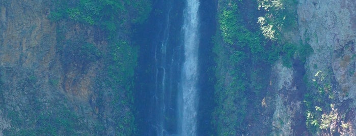 震動の滝 is one of 日本の滝百選.