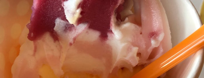 Orange Leaf Frozen Yogurt is one of Bradenton Dog Friendly.