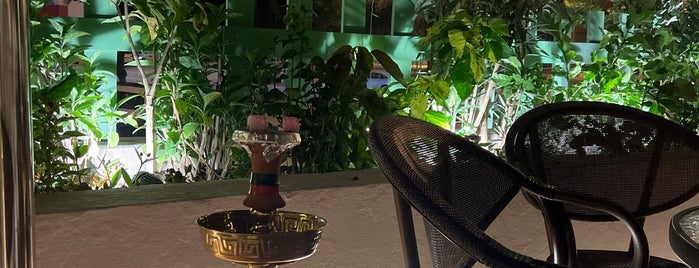 Clementina is one of Riyadh Shisha.