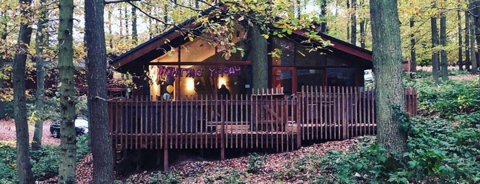 Forest Holidays Sherwood Forest is one of Around UK.