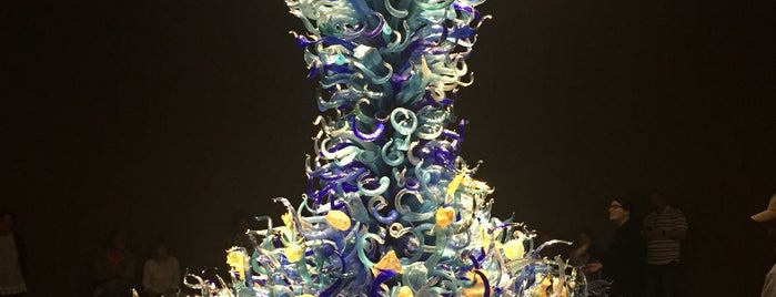 Chihuly Garden and Glass is one of Places to go in Seattle.