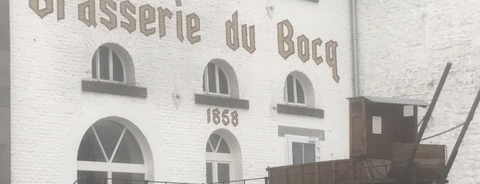 Brasserie du Bocq is one of Belgien.