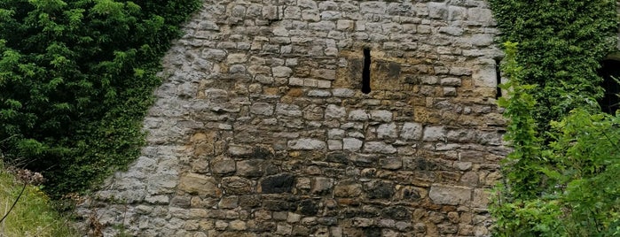 Pickering Castle is one of Historic Sites of the UK.