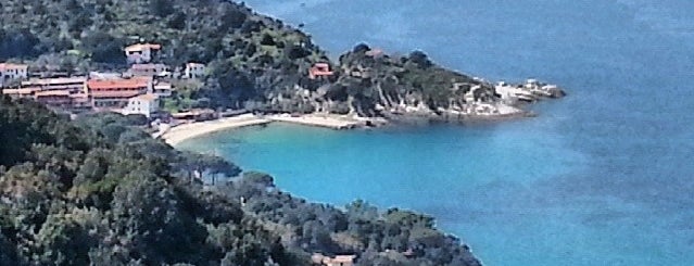 Spiaggia del Cotoncello is one of Elba.