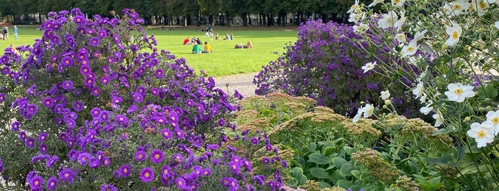 Rheinische Friedrich-Wilhelms-Universität is one of Bonn – für Kurzbesucher.