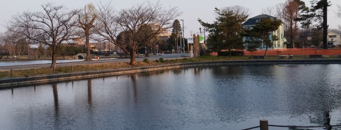 あおいの池 is one of 公園_埼玉県.