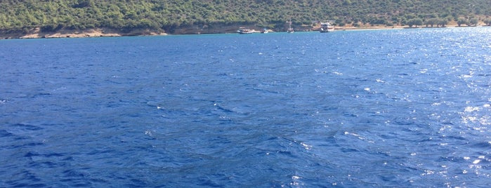Bodrum Denizin Ortası is one of Lieux qui ont plu à Mertesacker.