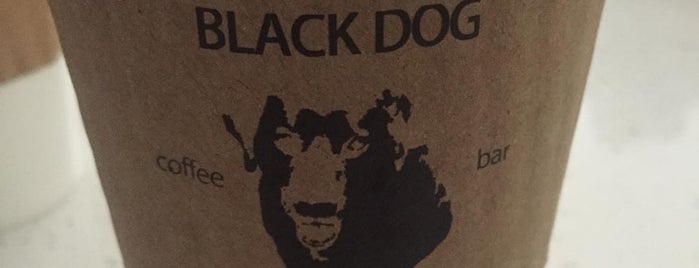 Black Dog Bar is one of Tempat yang Disukai Brian.