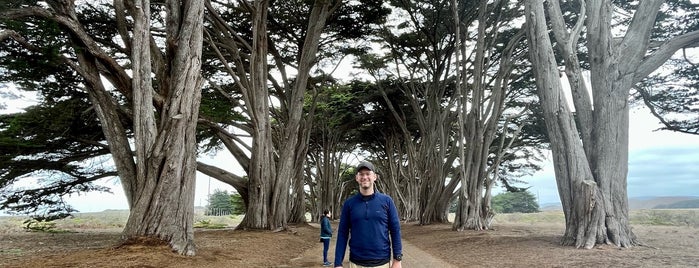 Cypress Tunnel is one of Cali.