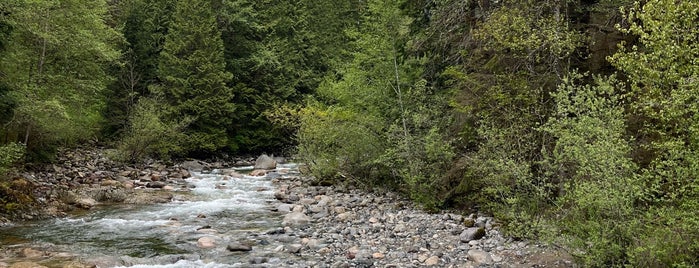Lynn Headwaters Regional Park is one of Vancouver tips.